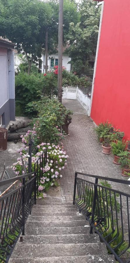 Stan Za Iznajmuvanje So Parking,Blisku Do Centar. Куманово Екстериор снимка